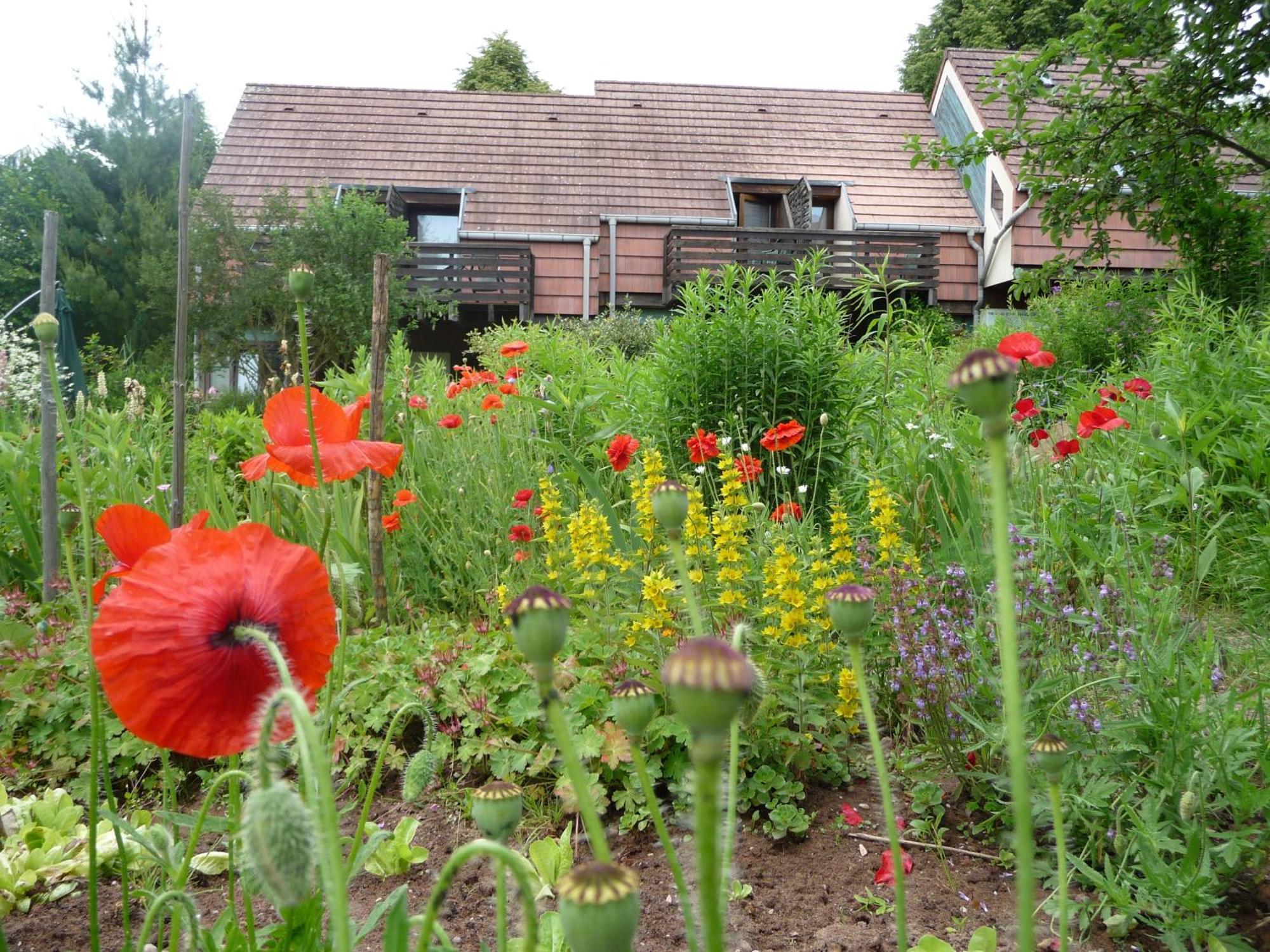 Alsace Village Obersteinbach エクステリア 写真